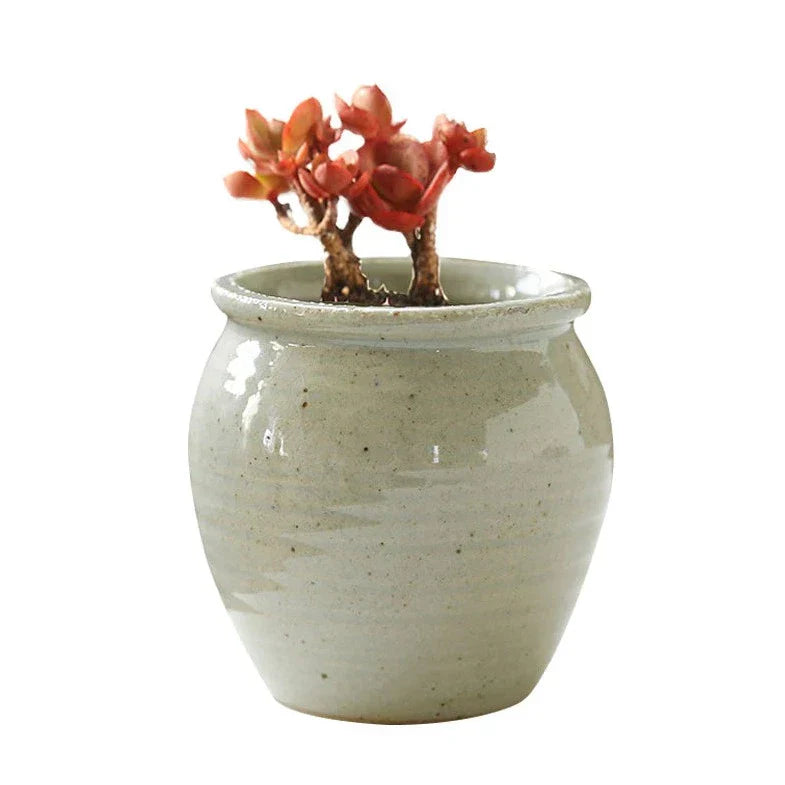 Glazed Romeo Succulent Pot