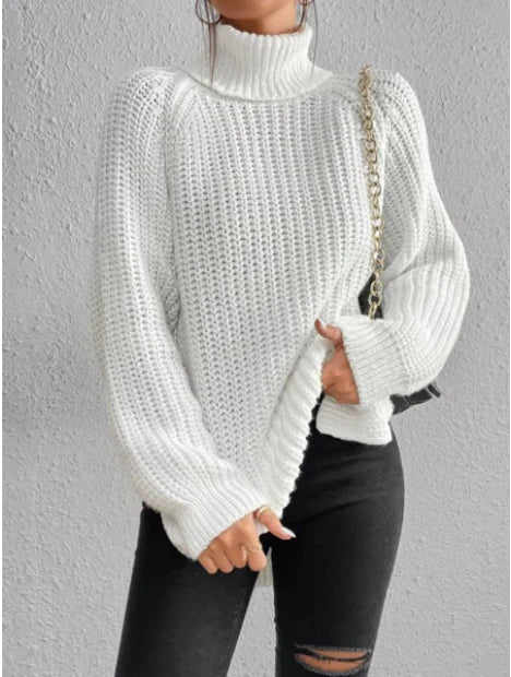 Dorine | Oversized Turtleneck Sweater