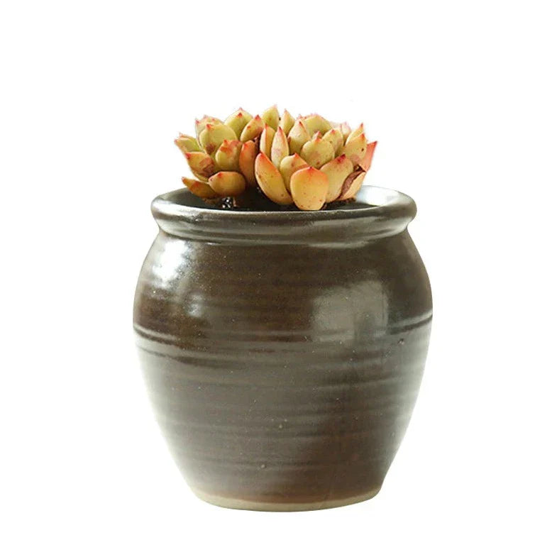 Glazed Romeo Succulent Pot