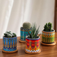 Vibrant Art Succulent Pots