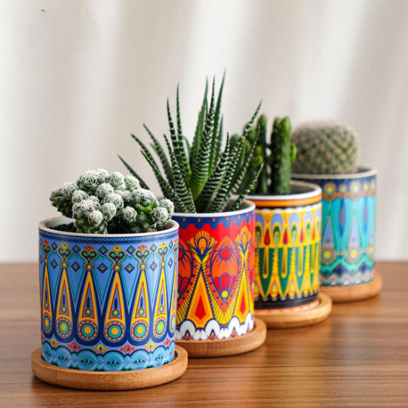 Vibrant Art Succulent Pots