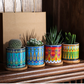 Vibrant Art Succulent Pots