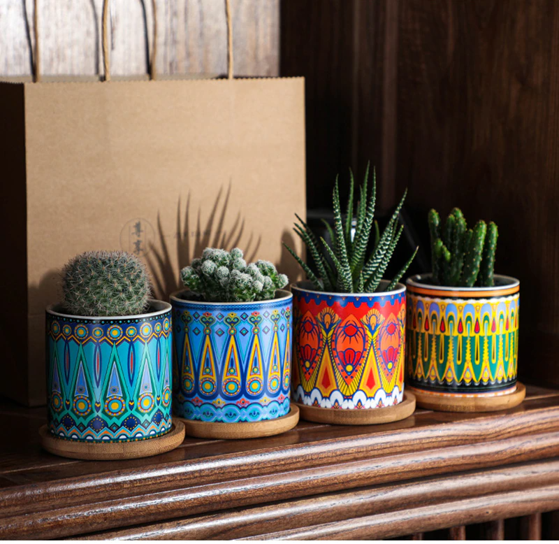 Vibrant Art Succulent Pots