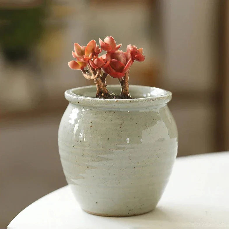 Glazed Romeo Succulent Pot