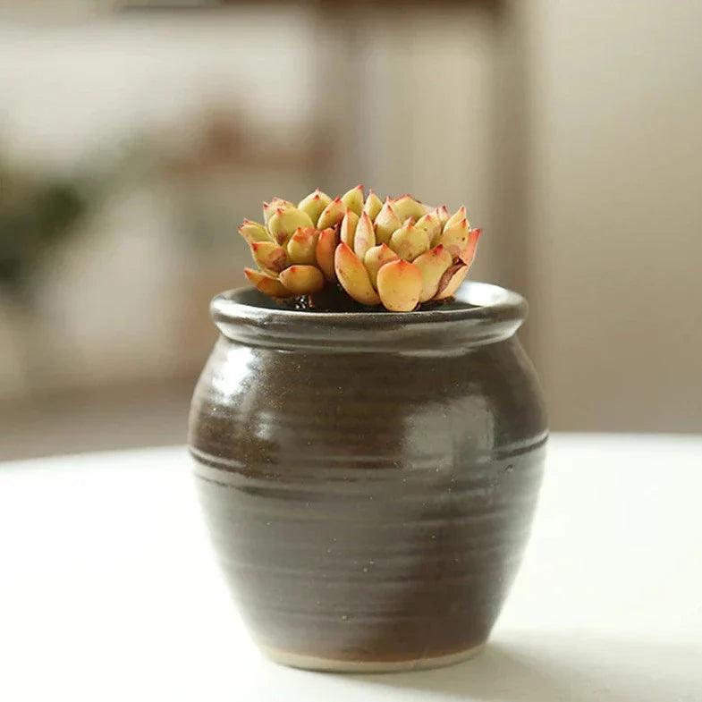 Glazed Romeo Succulent Pot