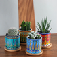 Vibrant Art Succulent Pots