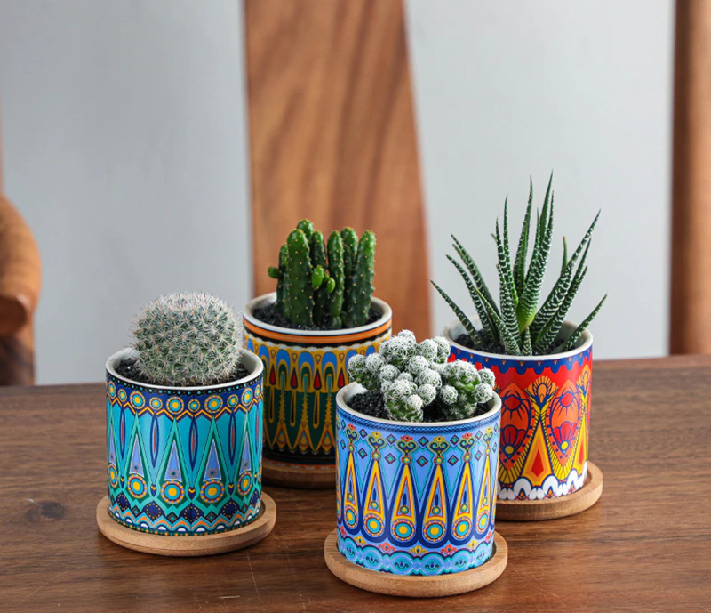 Vibrant Art Succulent Pots