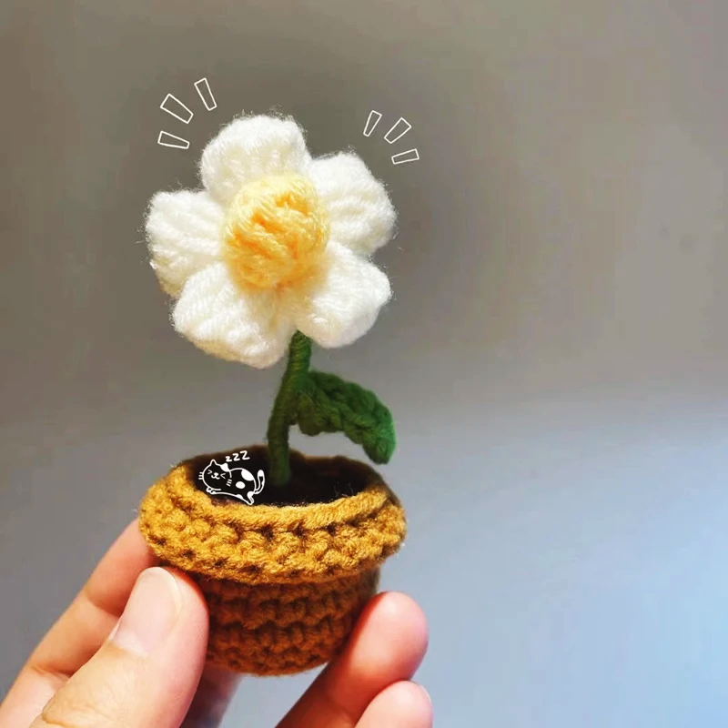 Wooly Bloom Miniature Potted Rose