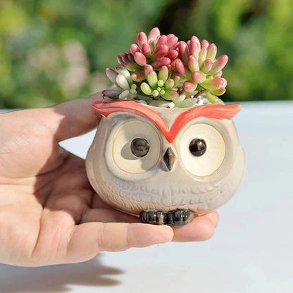 Ceramic Owl Planter