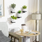 Modern Versatile Floating Shelves - Pack of 4