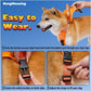 sadikhoff™ - Dog Harness and Retractable Leash Set All-in-One