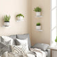 Modern Versatile Floating Shelves - Pack of 4