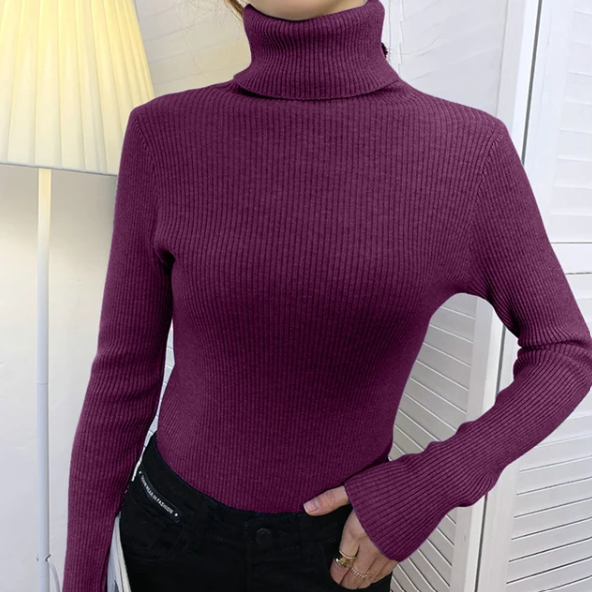 Helen Knitted Turtleneck Sweater