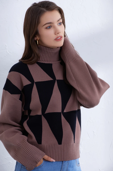 Fifine Turtleneck Sweater