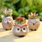 Ceramic Owl Planter