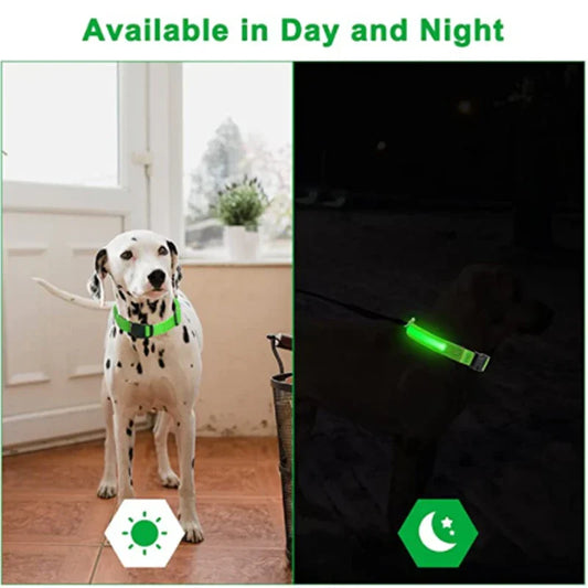 sadikhoff™ - LED Flashing Dog Collar