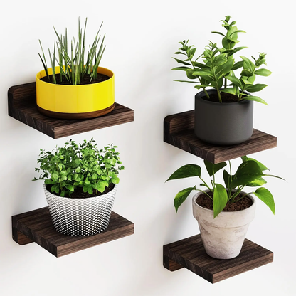 Modern Versatile Floating Shelves - Pack of 4