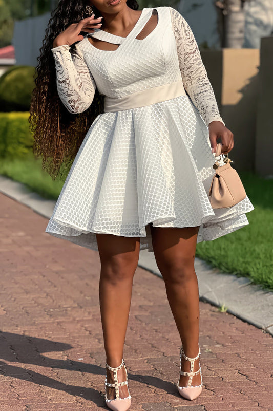 Unique Lace Sleeve Honeycomb A-line Dress