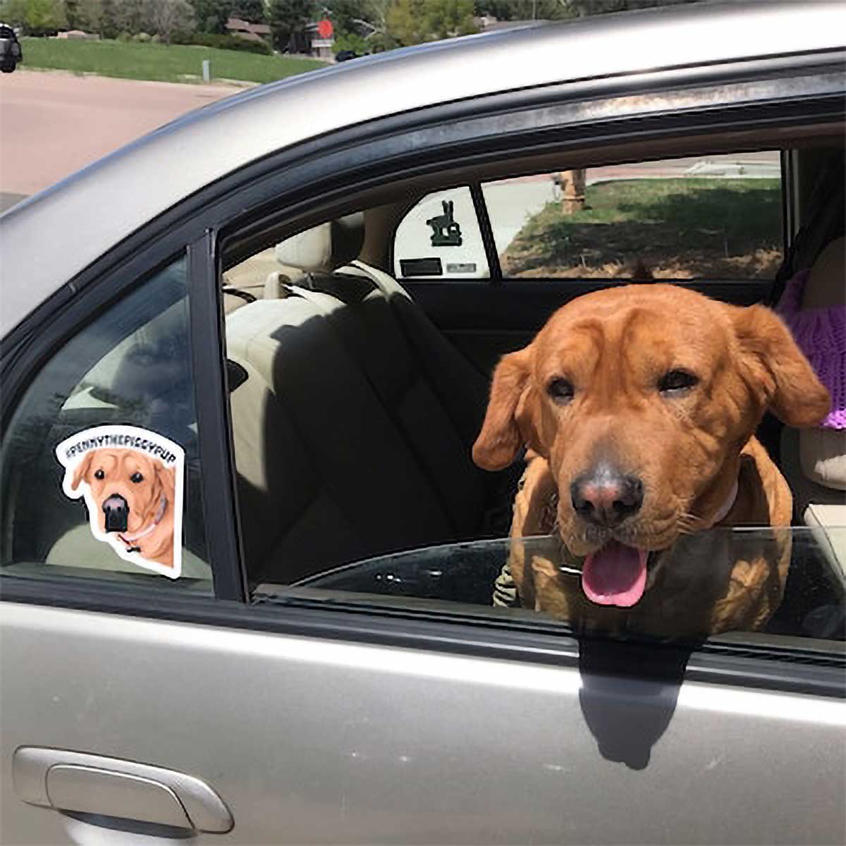 Sadikhoff ™ - Personalized Dog Face Stickers