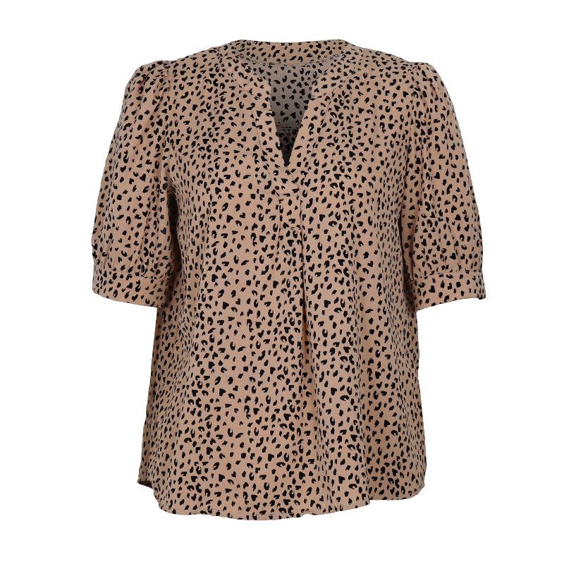 Women's V-neck Commuting Simple Leopard Print Shirt 21755578YM