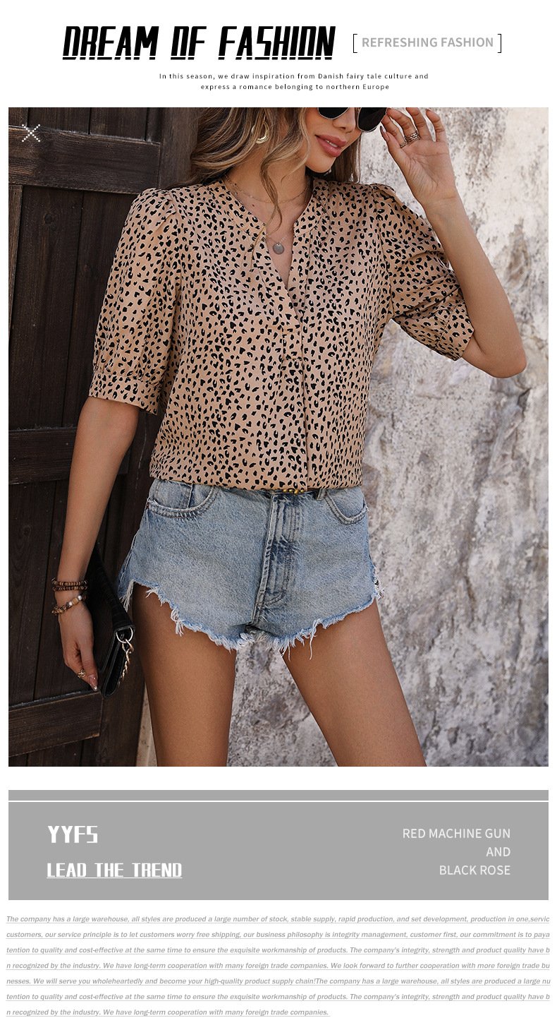 Women's V-neck Commuting Simple Leopard Print Shirt 21755578YM