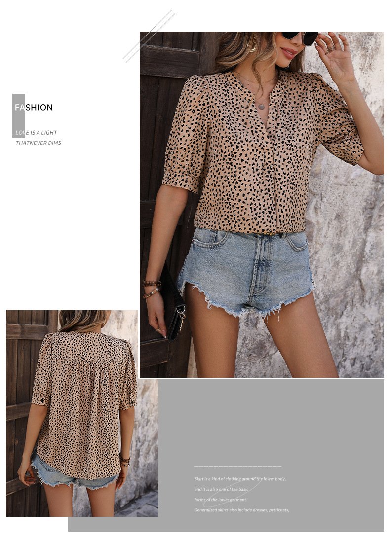 Women's V-neck Commuting Simple Leopard Print Shirt 21755578YM